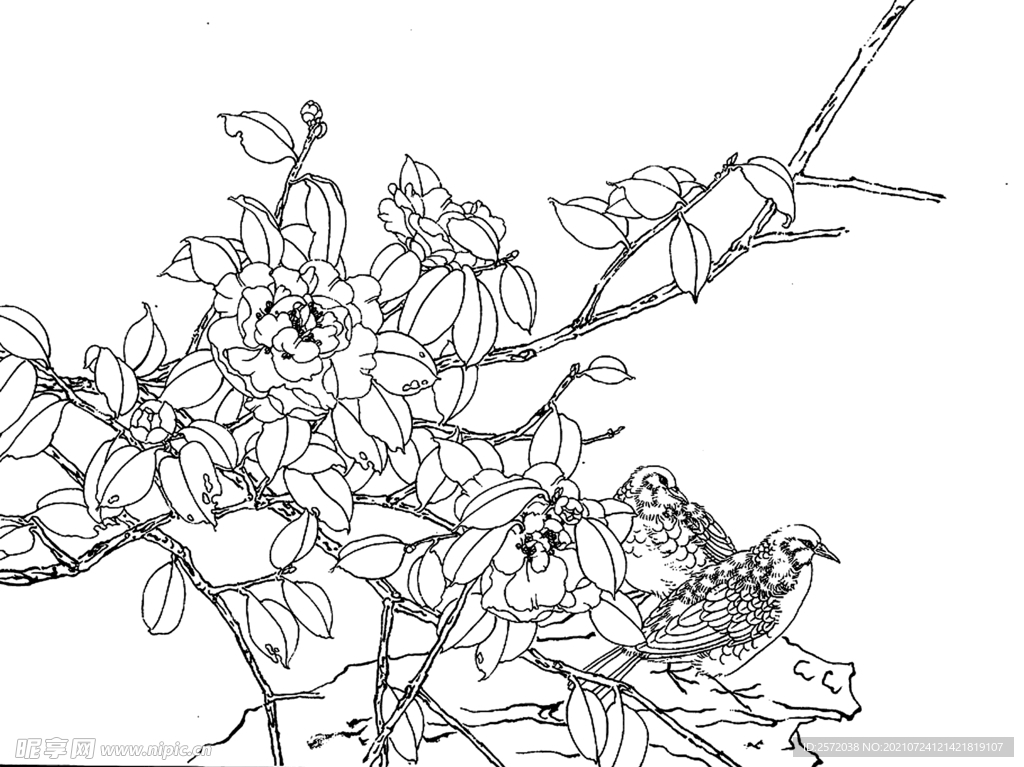 茶花双禽图