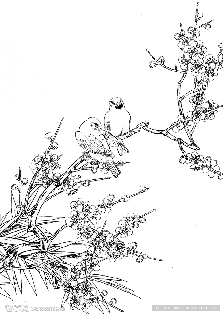 春暧