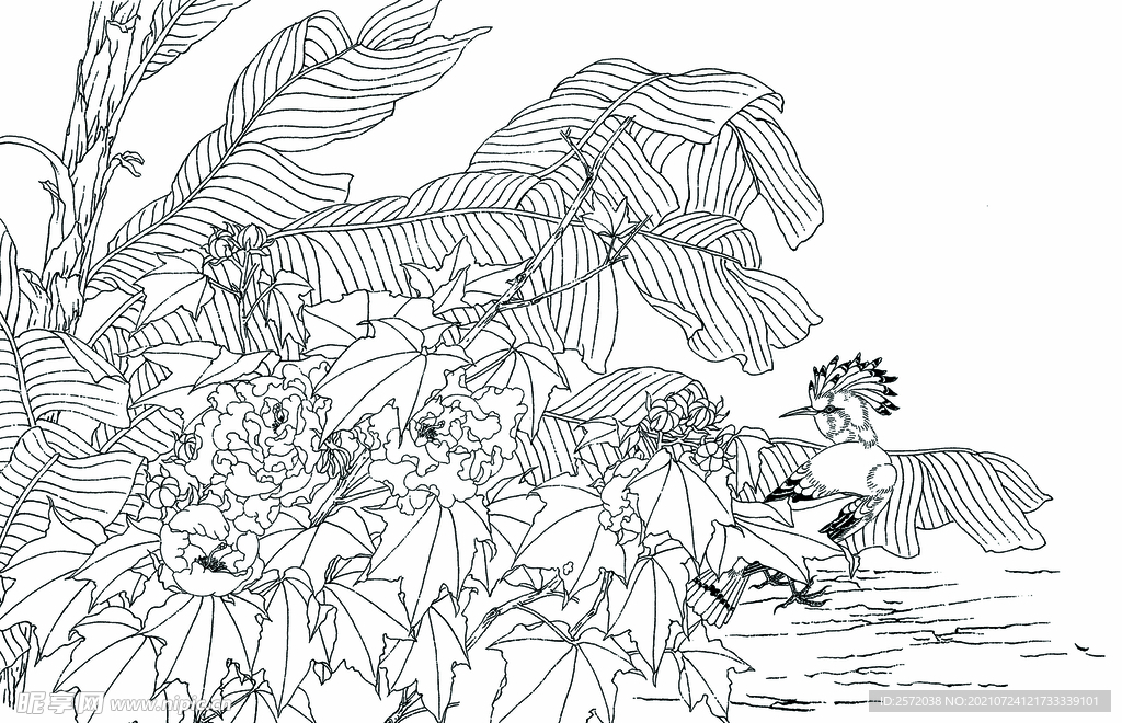 芙蓉戴胜图