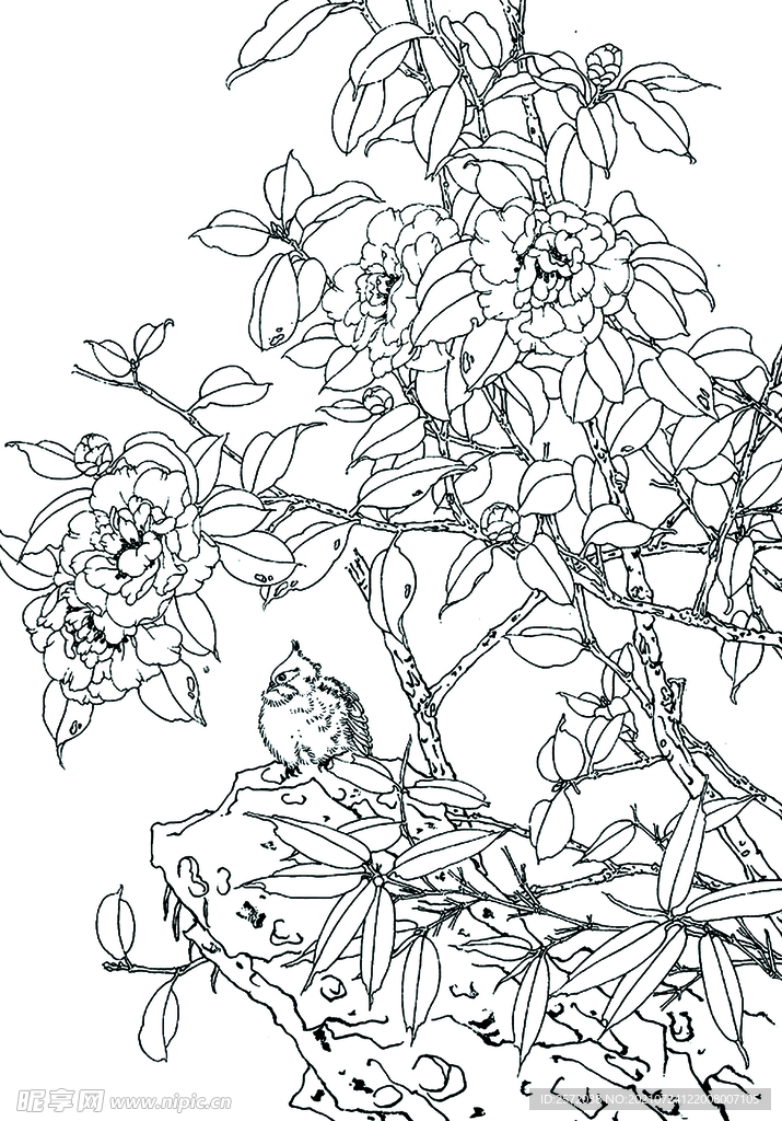 花好禽栖