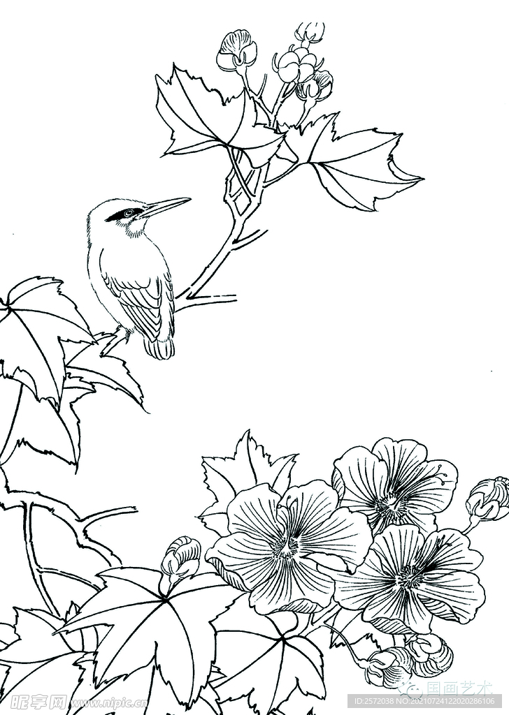 花鸟小品