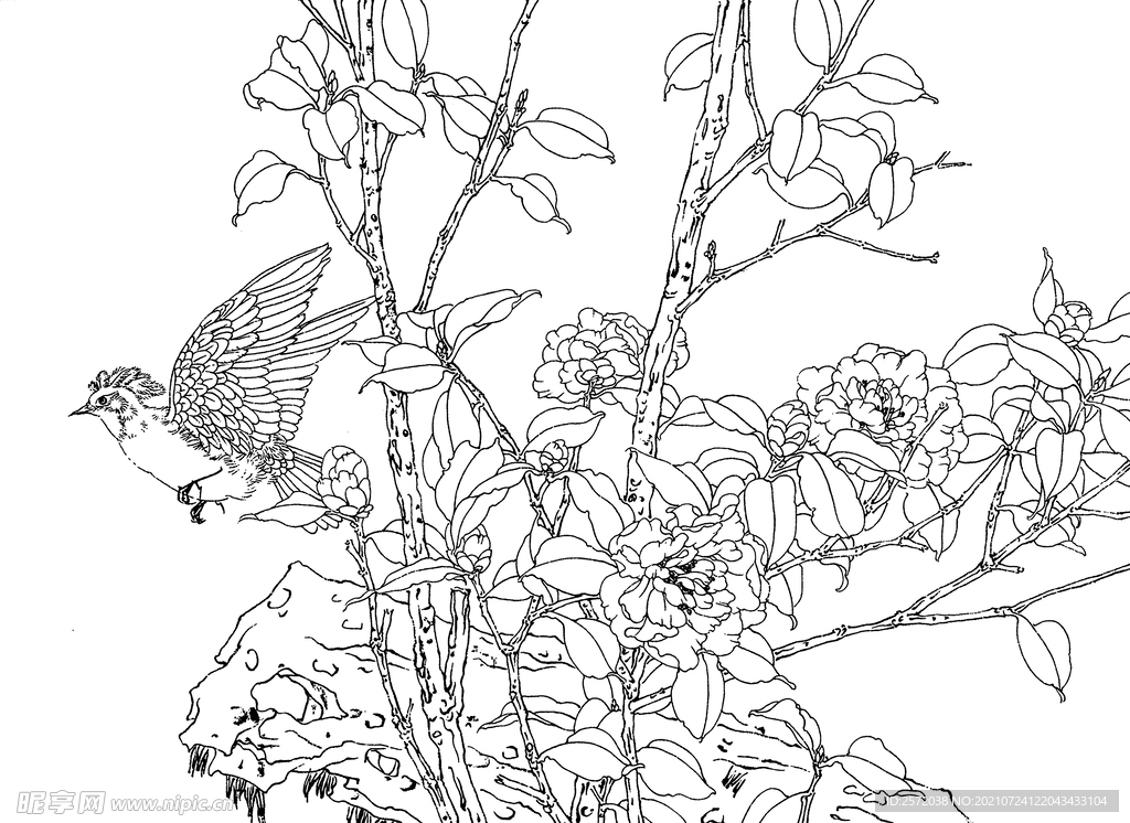 花香鸟动