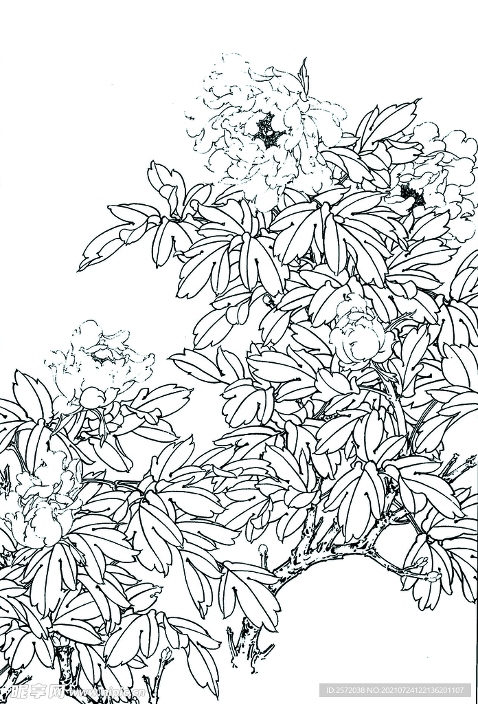 竞芳