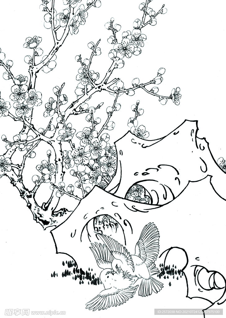 梅花双雀