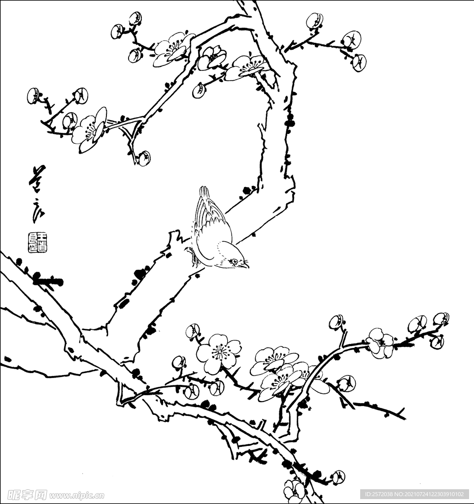 梅花小鸟
