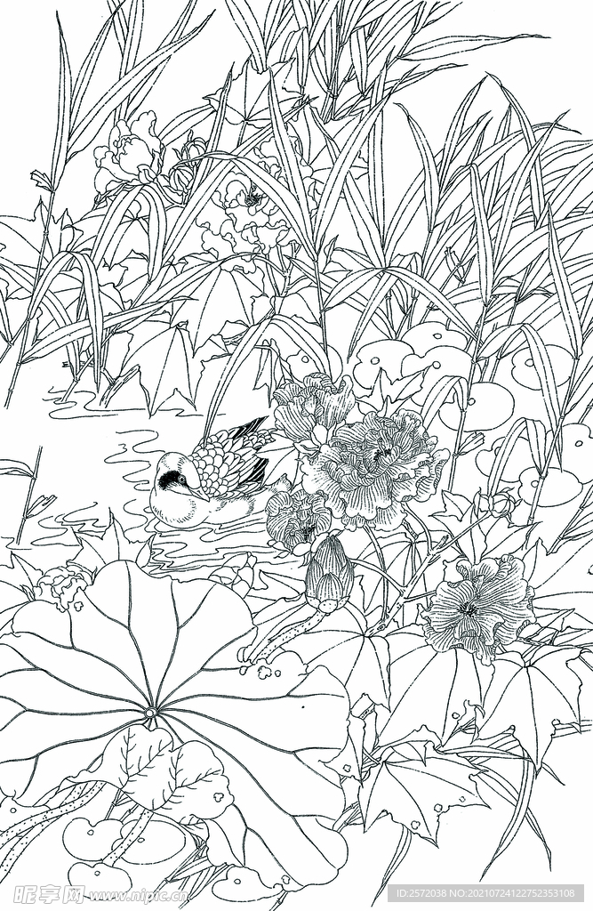 芙蓉水鸟图