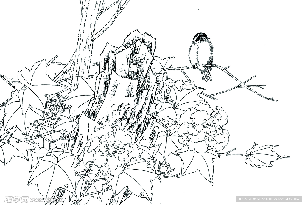 芙蓉小鸟
