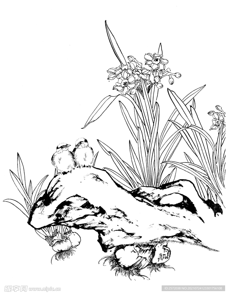 水仙双禽