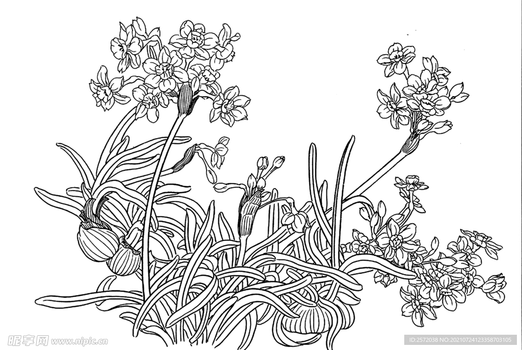 迎春花