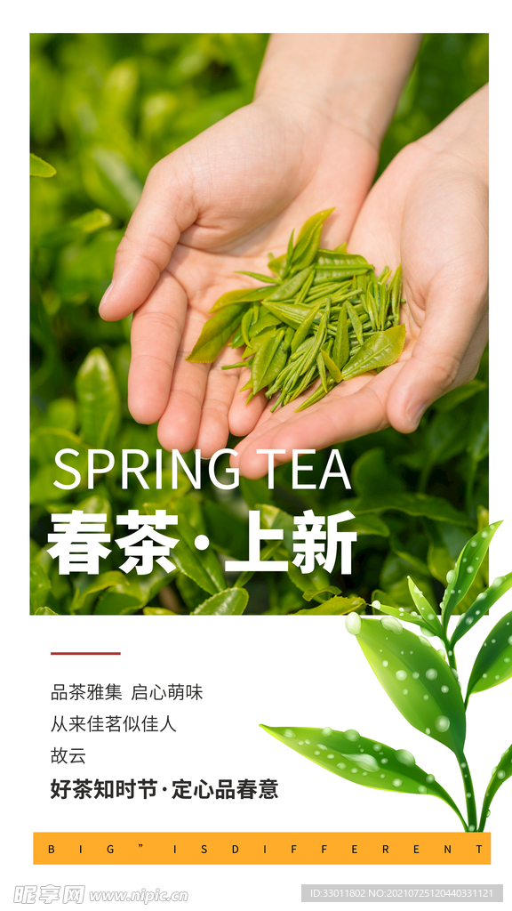 春茶上新