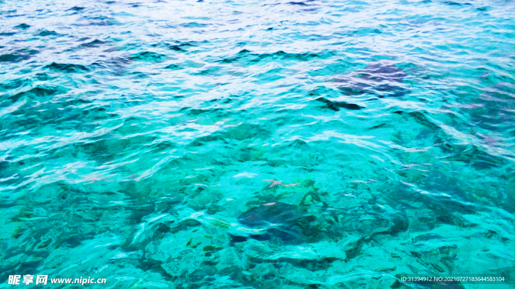 大海