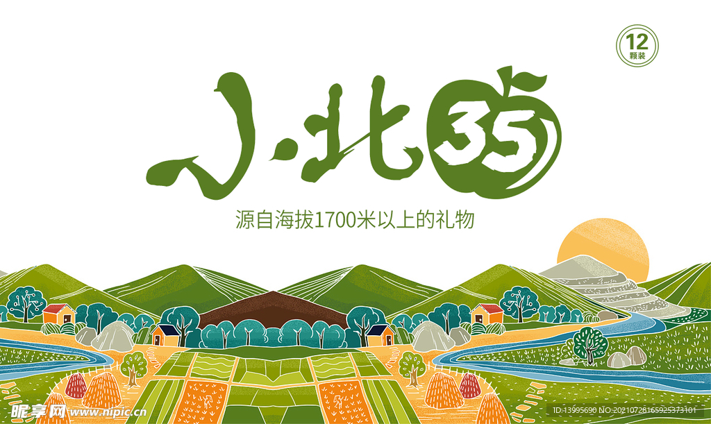 水果礼盒设计