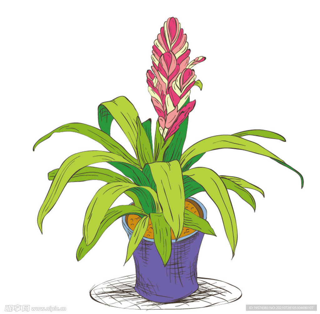 png格式植物花卉手绘素材