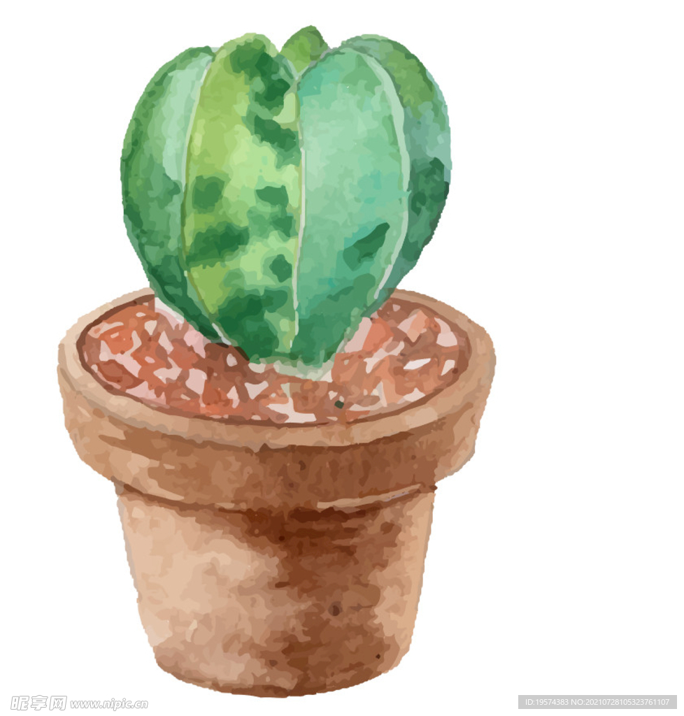 ai格式植物花卉手绘素材