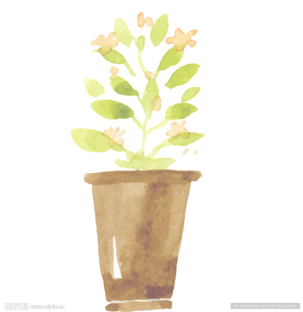 png格式植物花卉手绘素材