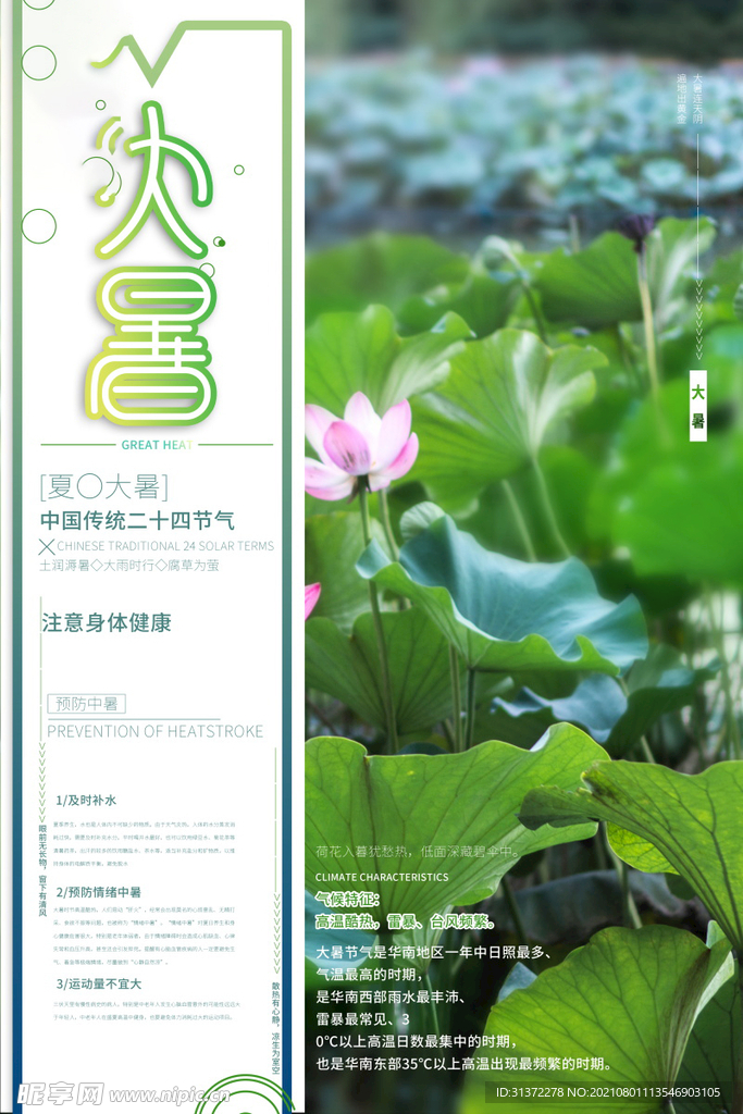 24节气之大暑海报设计图片