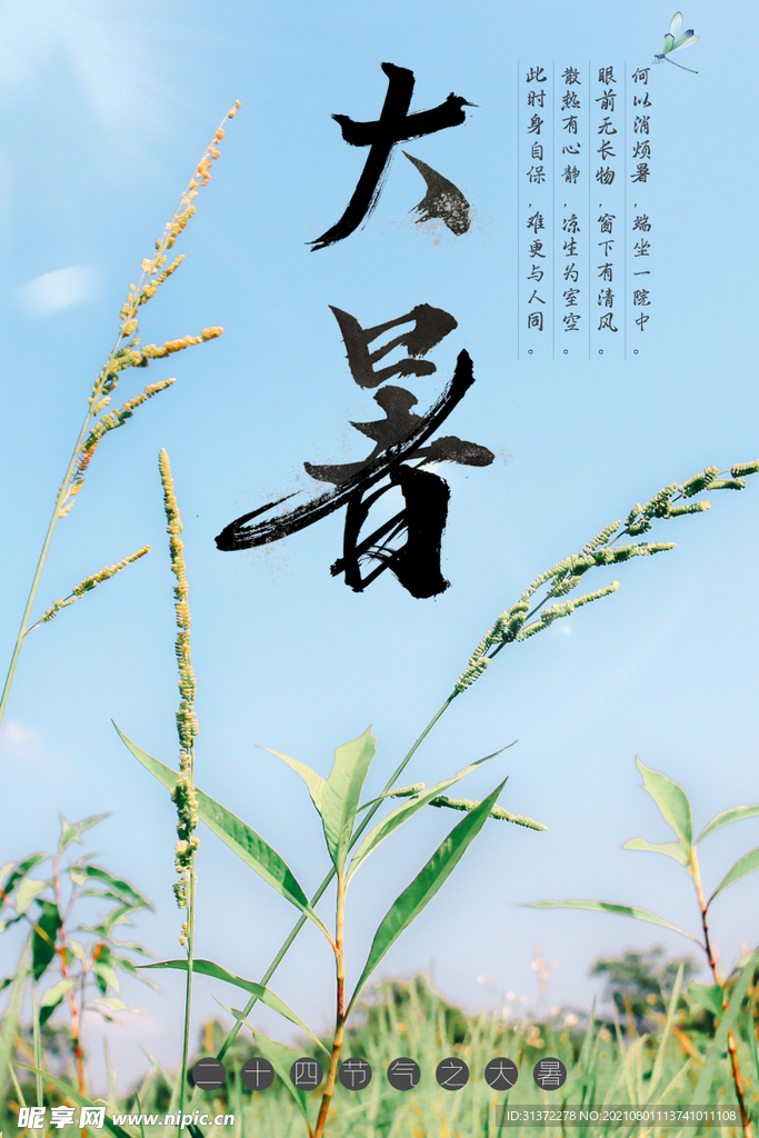 24节气之大暑海报设计图片