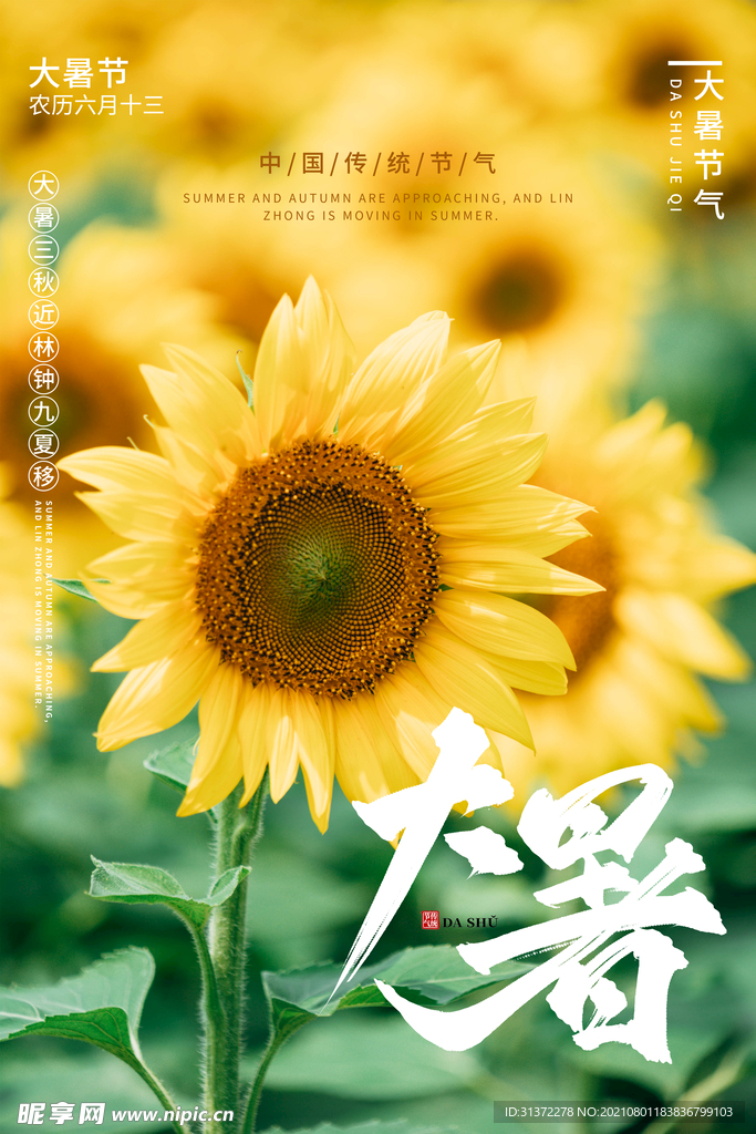  24节气之大暑海报设计图片