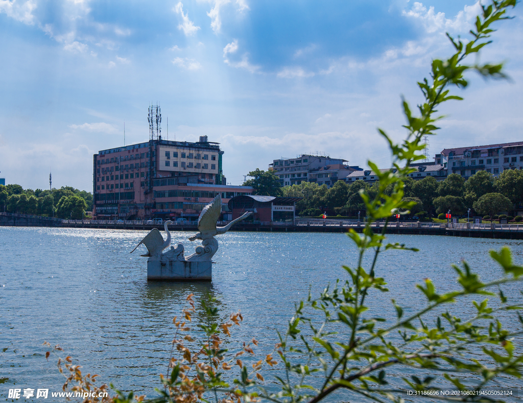 天鹅湖公园