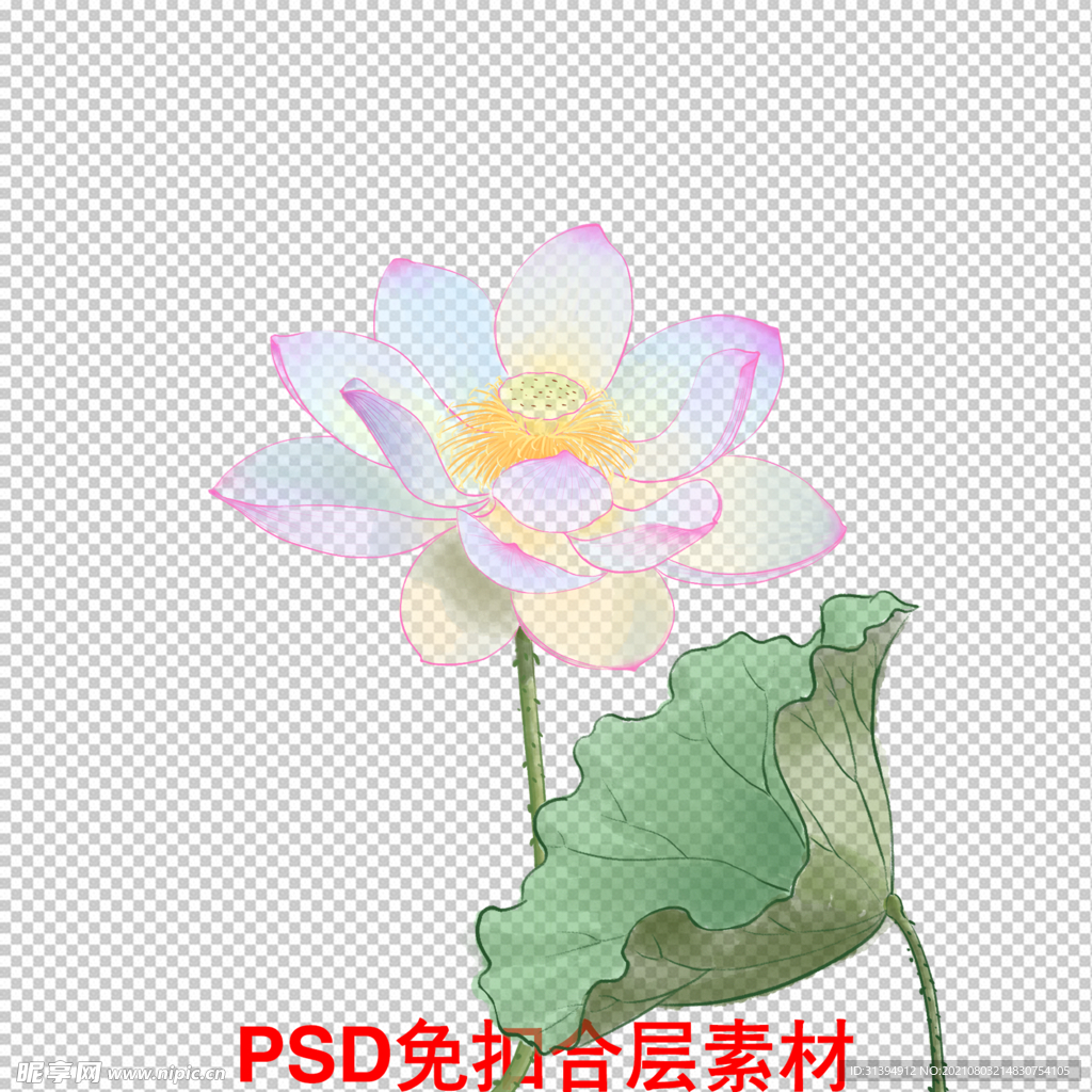 手持莲花