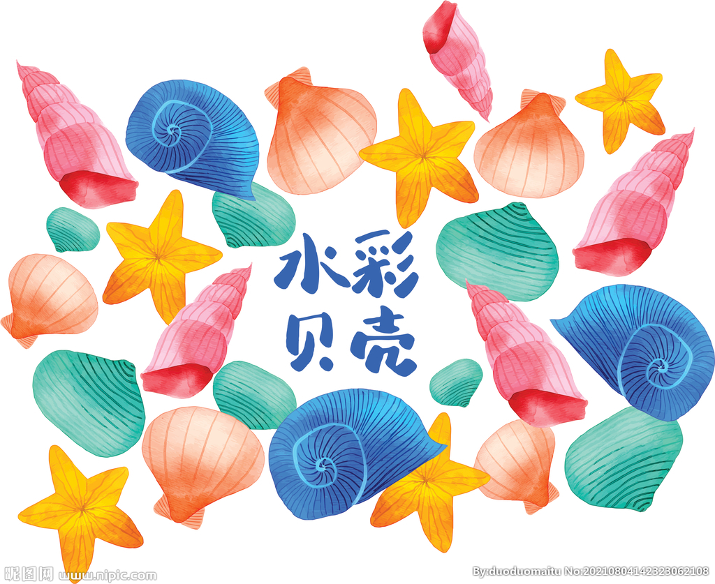 水彩贝壳