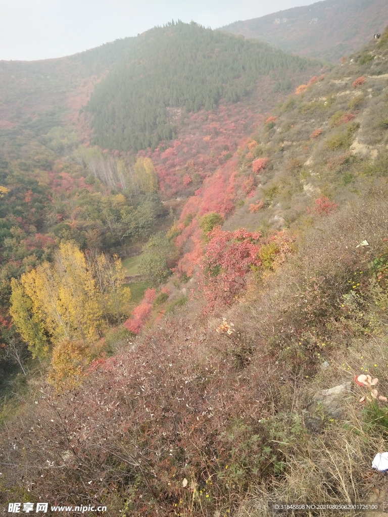 风景