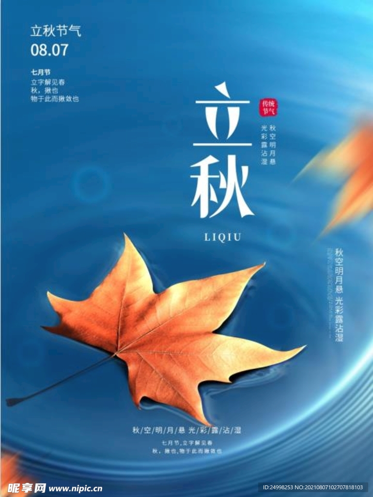 二十四节气 立秋 海报