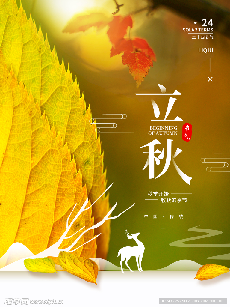 立秋海报