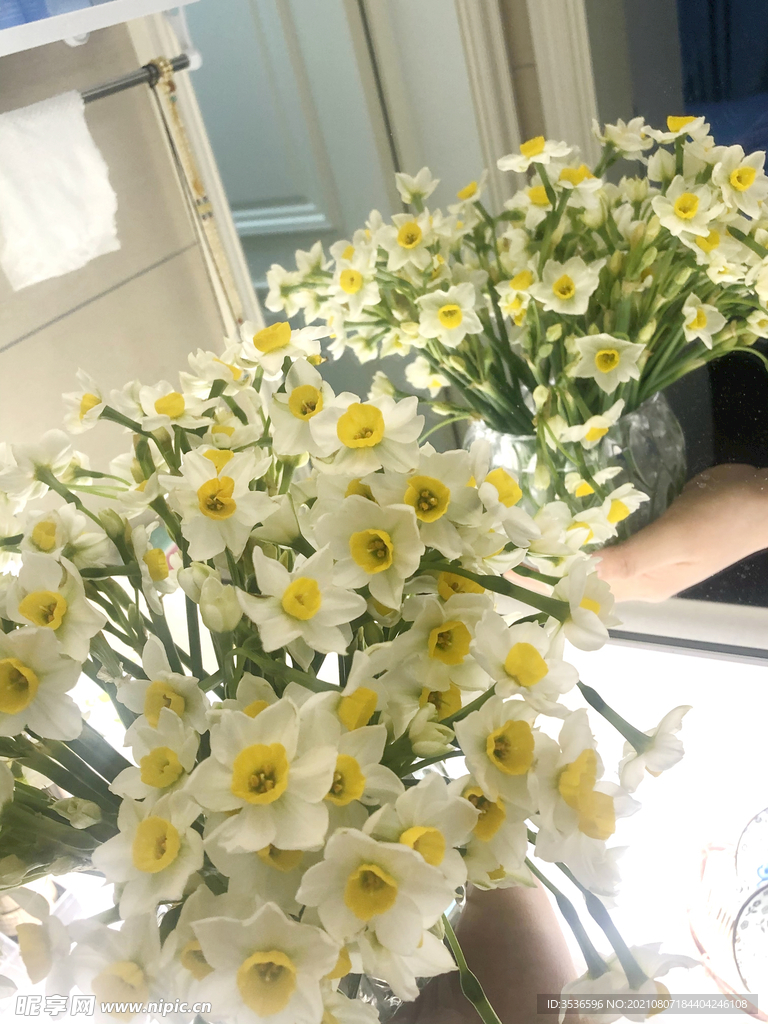 水仙 