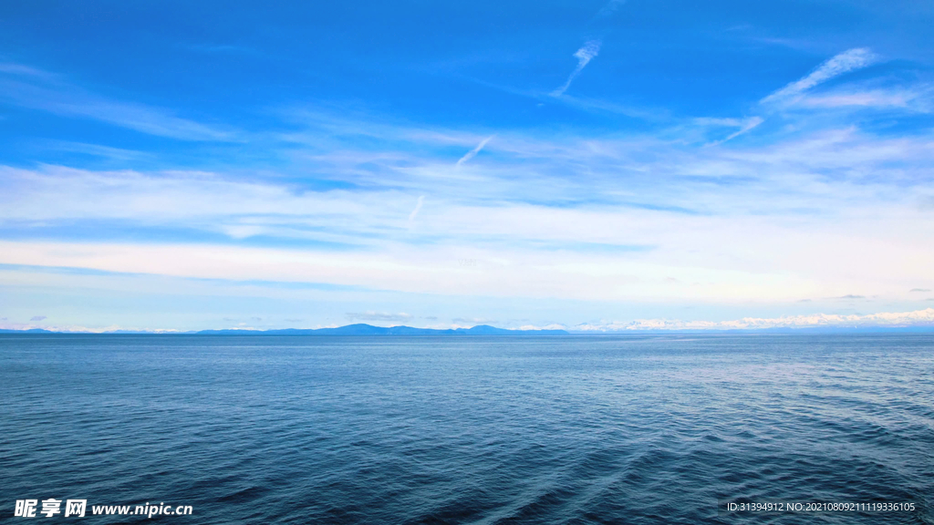 大海