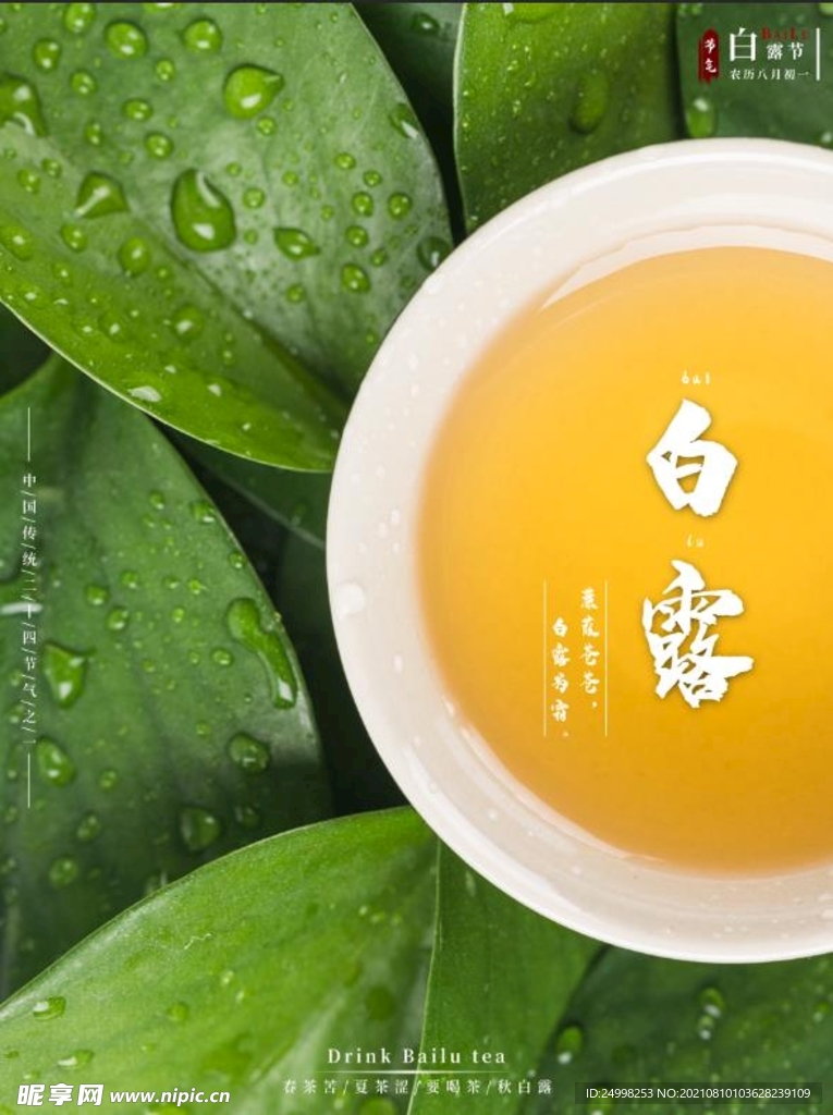 二十四节气白露