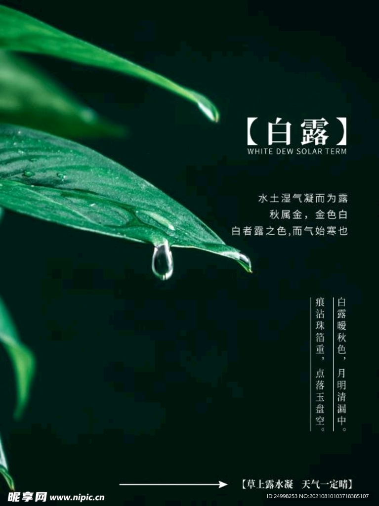 二十四节气白露