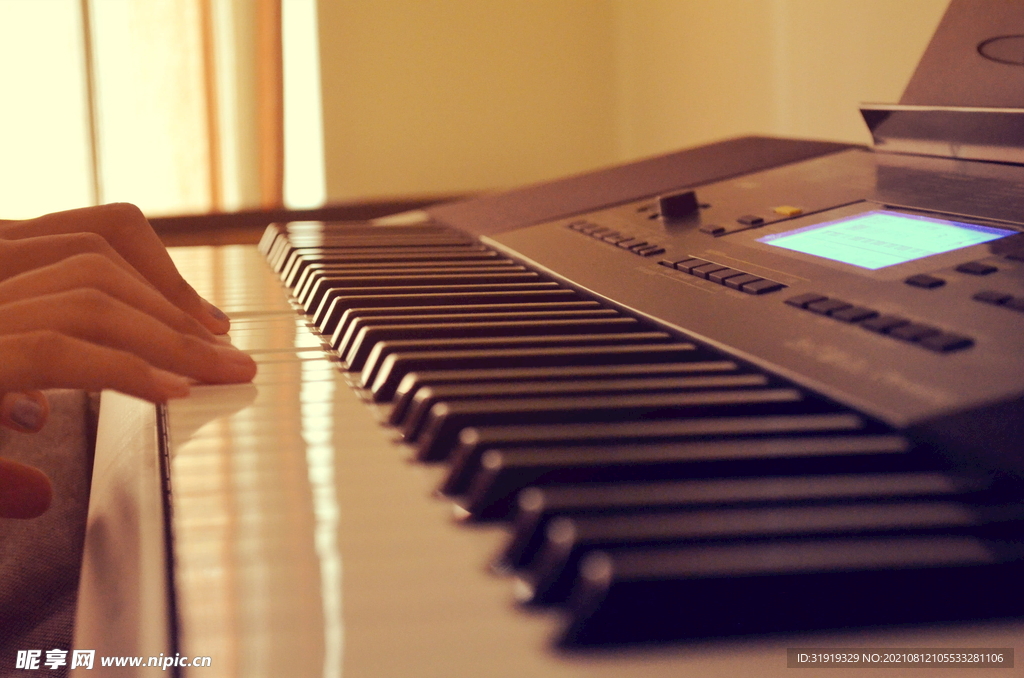 钢琴 琴键