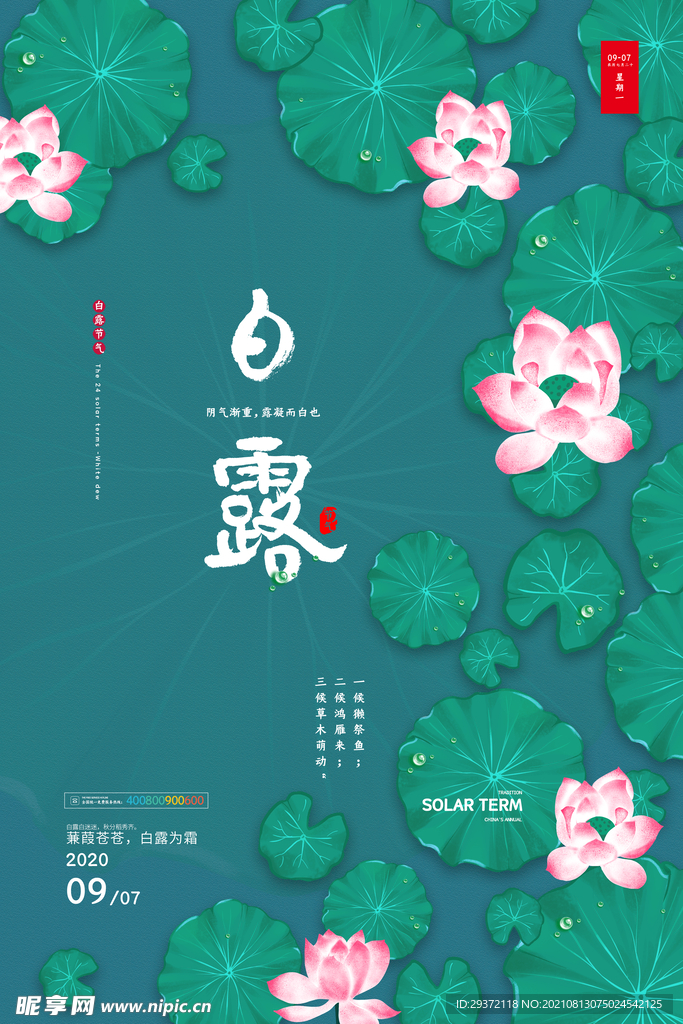 时尚创意二十四节气白露节海报