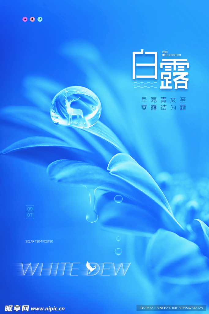 时尚创意二十四节气白露节海报