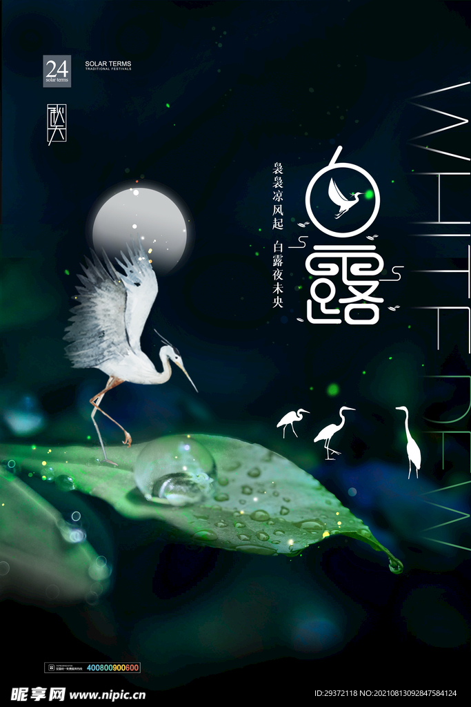手绘中国传统24节气白露节海报