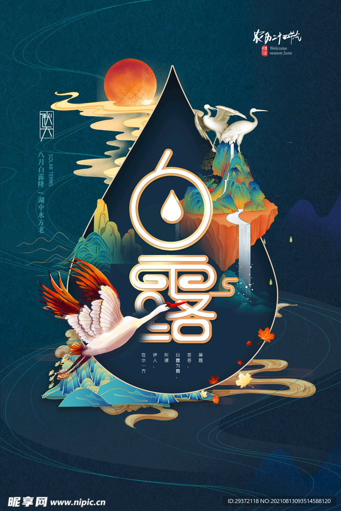 时尚创意二十四节气白露节海报