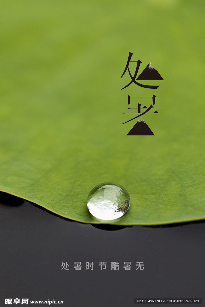 处暑二十四节气节日海报