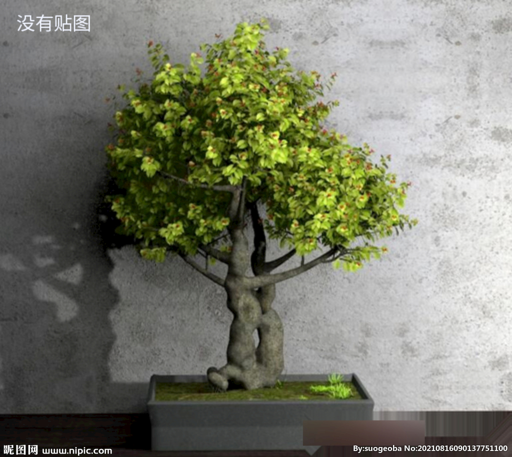 C4D模型景观树盆栽