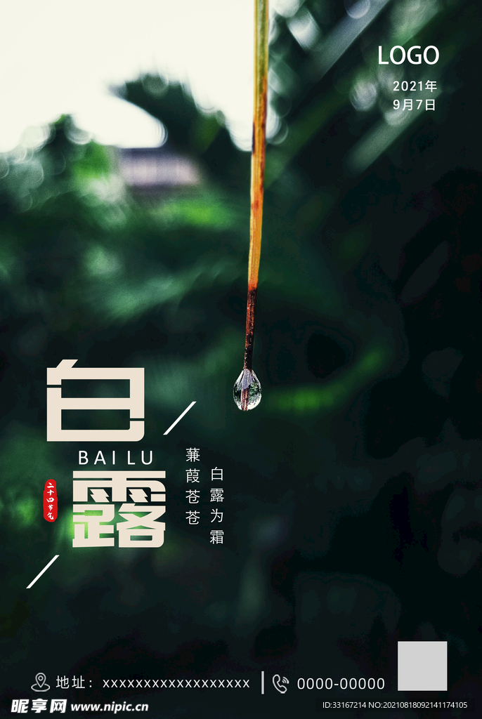 白露节气海报