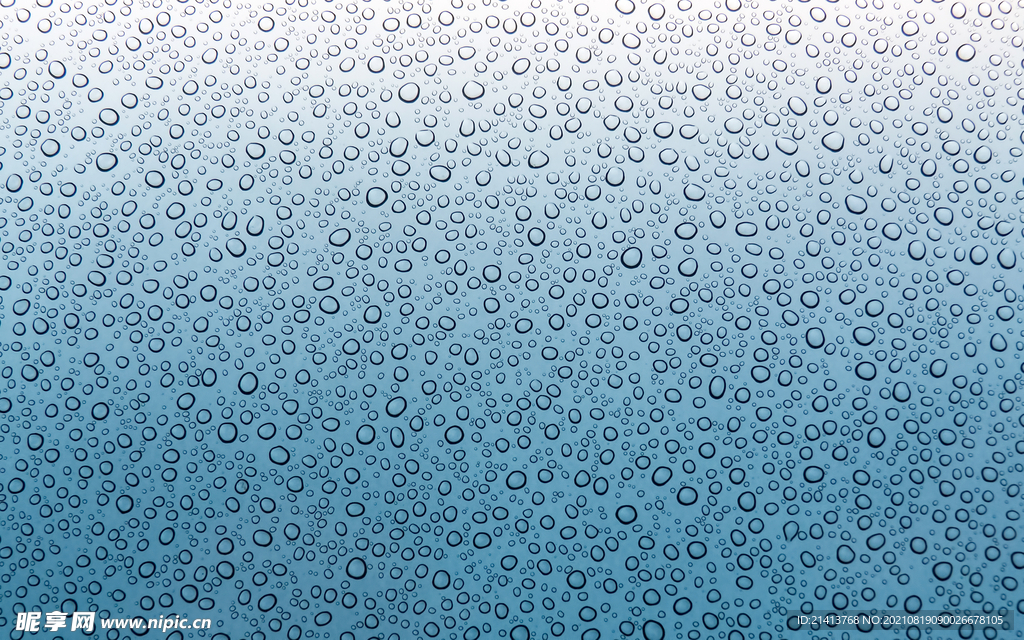水珠露珠背景 