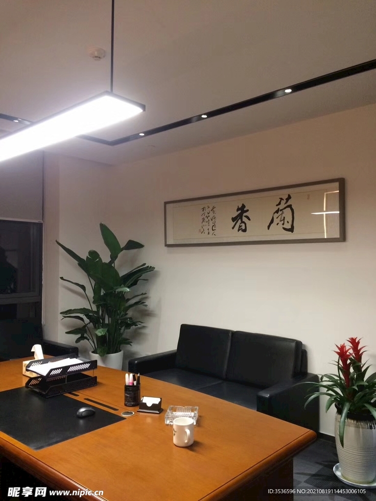 办公室布置 