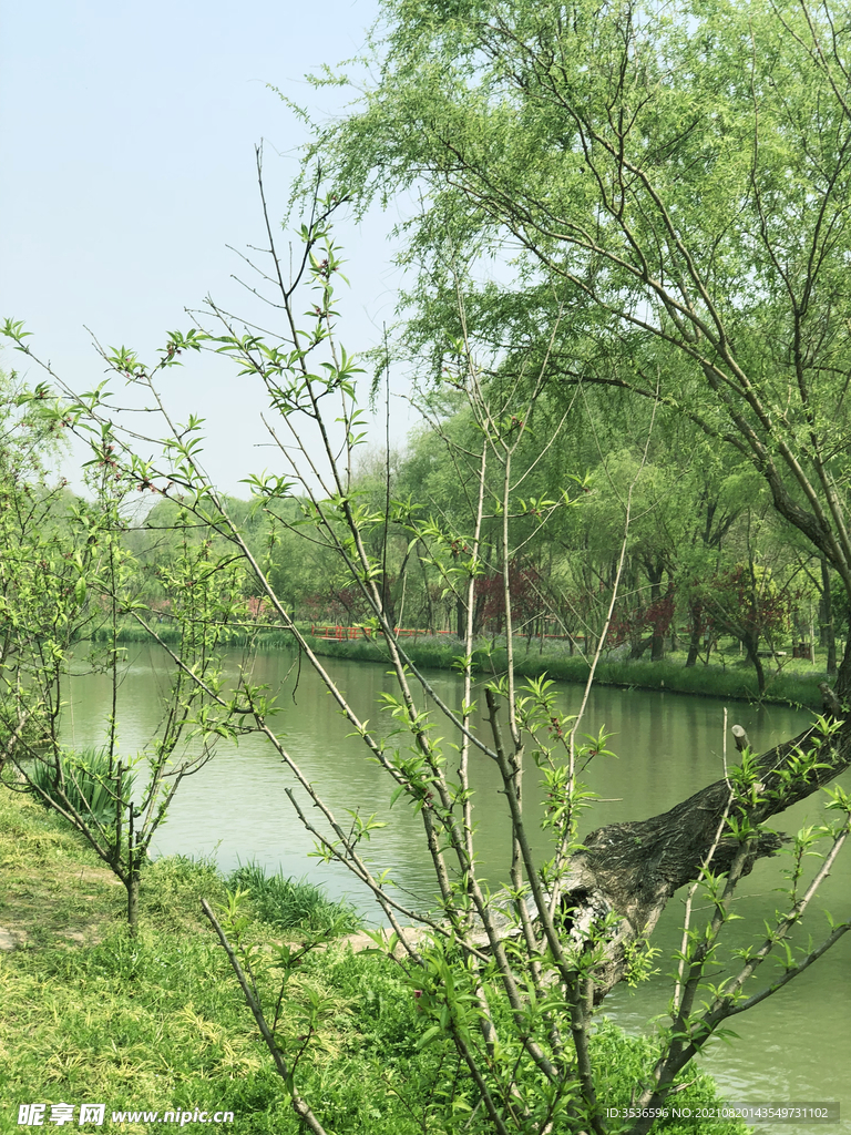 扬州美景