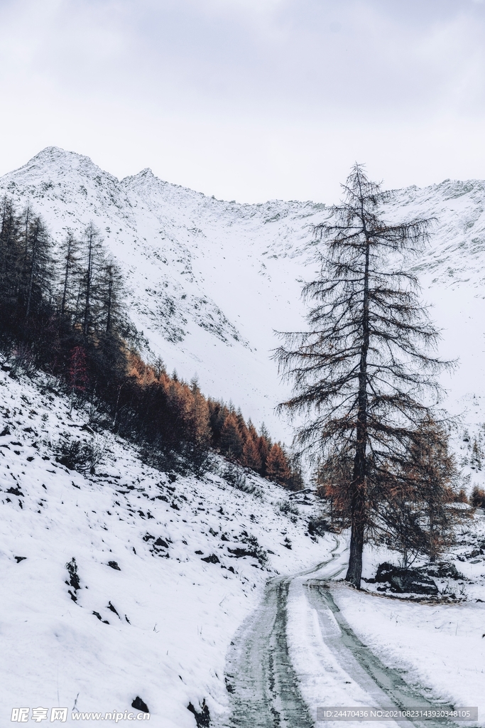雪山岭 