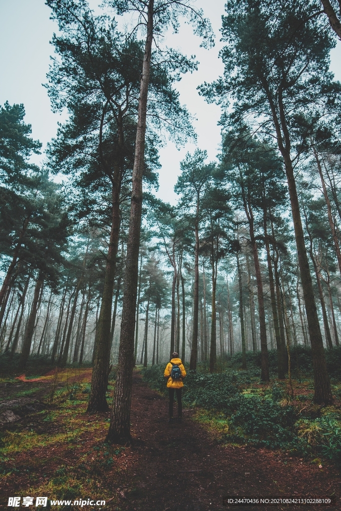 美丽风景风光 