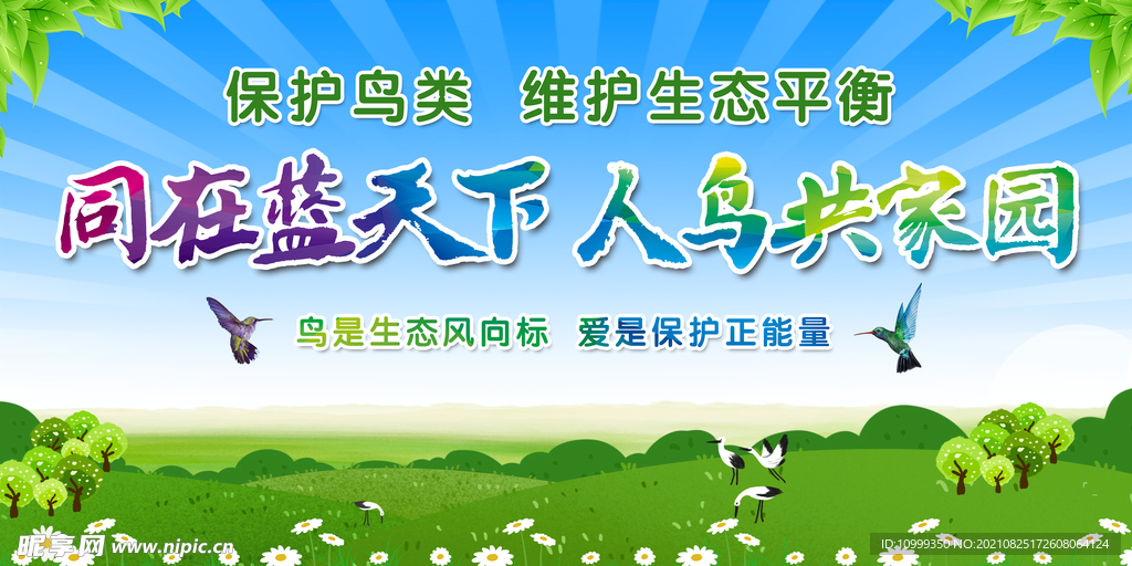 保护鸟类