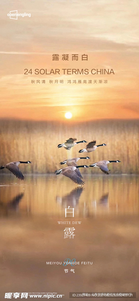 房地产白露 海报