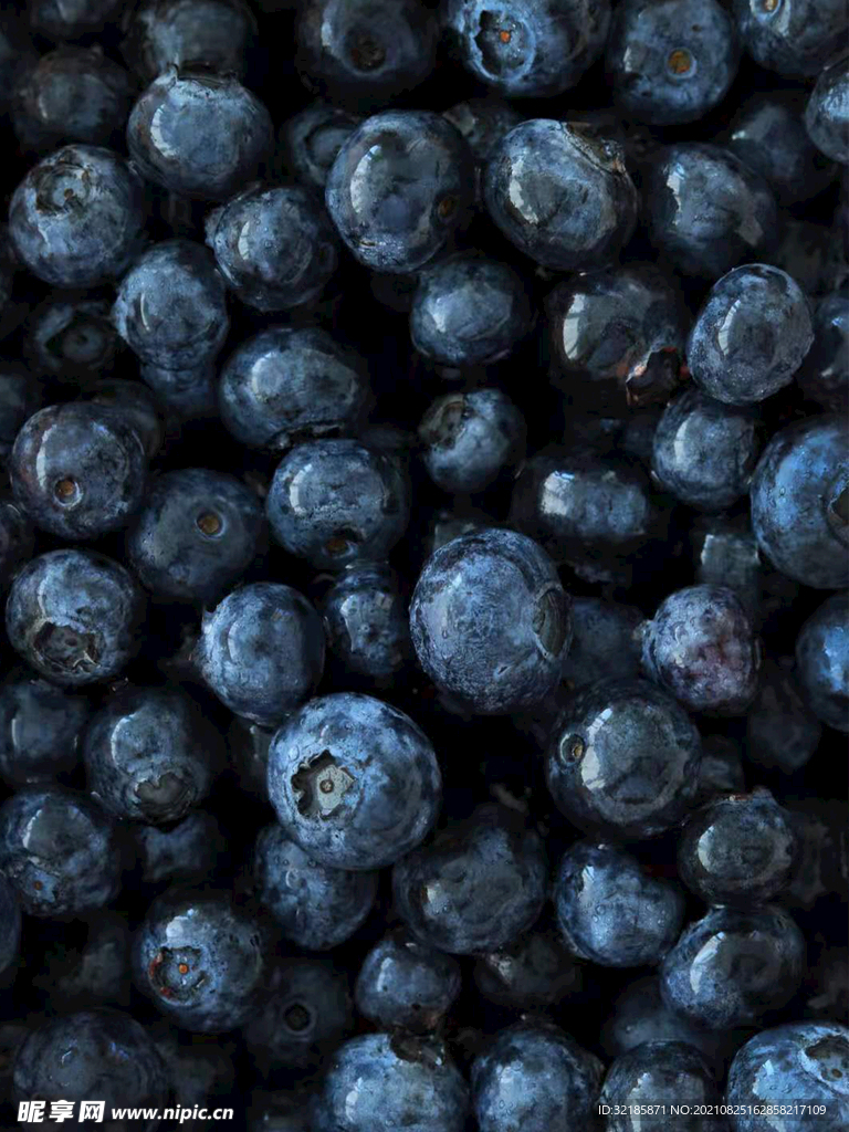 蓝莓图片