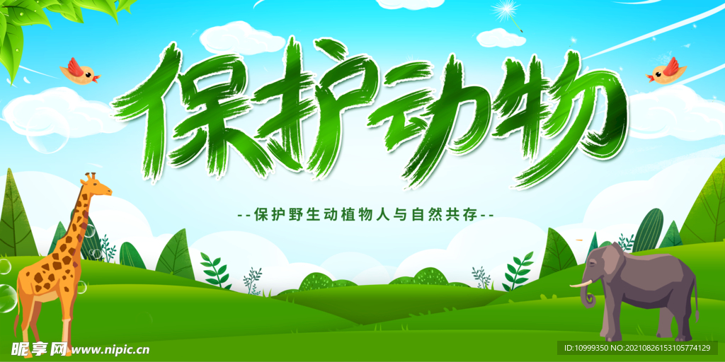 保护动物