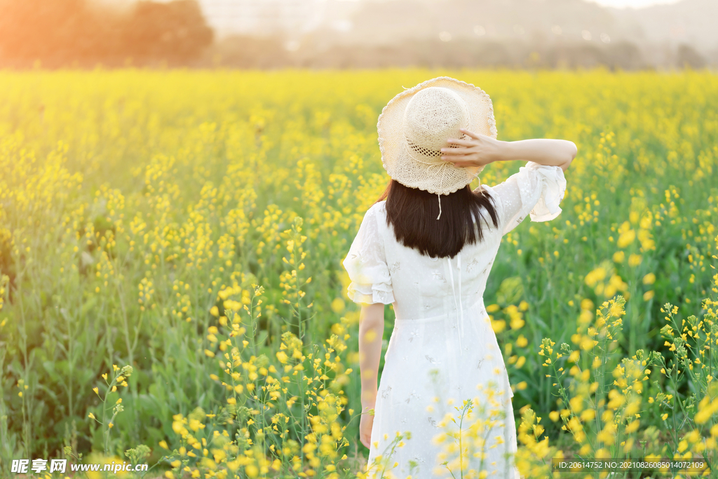 油菜花海里的女孩